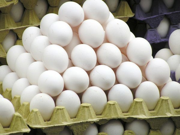 Өндгийг шинээр нь хэрхэн хадгалах вэ?