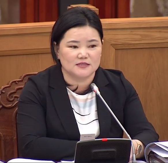 Сангийн яаманд ХАТУУ ҮГ  хэрэгтэй 