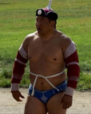 Элэг хөшмөөр