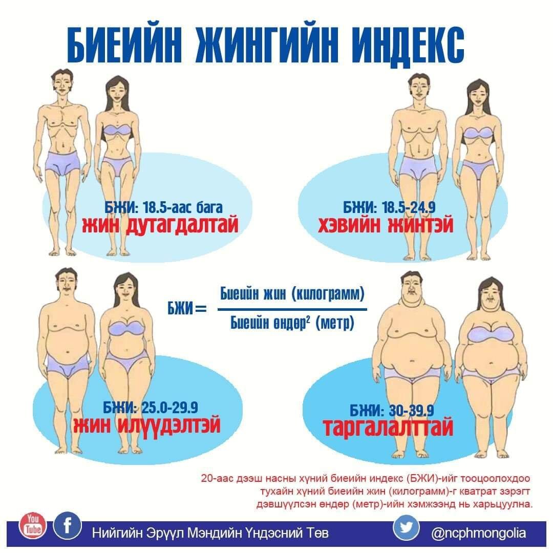 Биеийн жингийн индекс