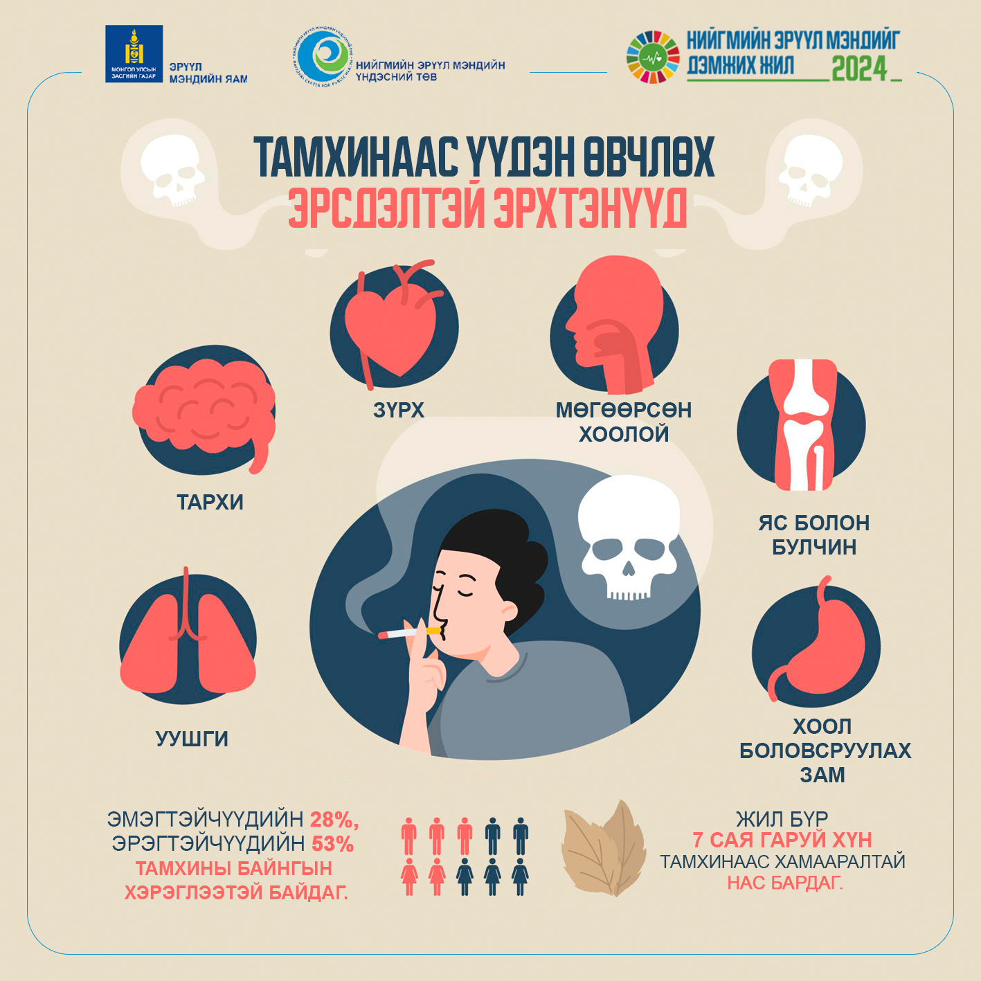 Тамхинаас үүдэн өвчлөх эрсдэлтэй эрхтэнүүд