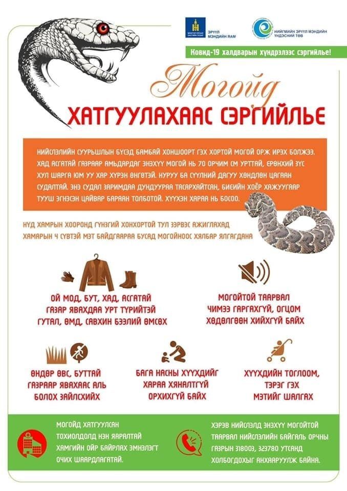 Могойд хатгуулахаас болгоомжилно уу !!!