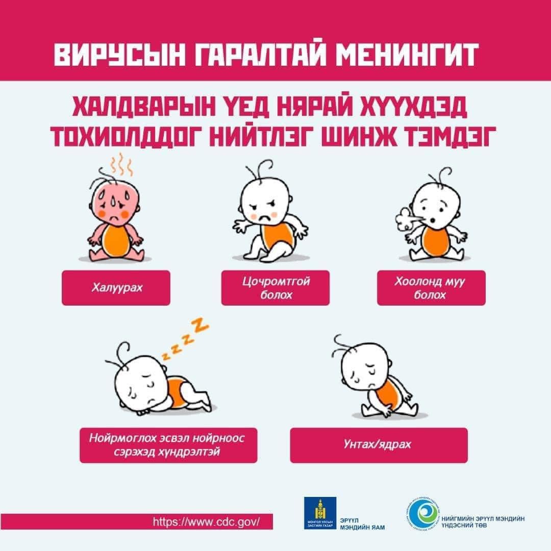 Вирусын гаралтай менингит халдвар гэж юуг хэлэх вэ?