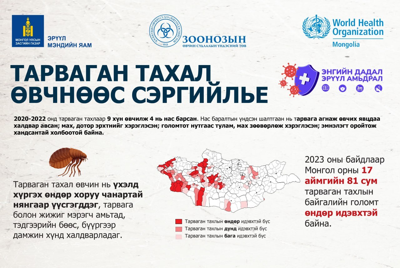 Гепатит В-ийн халдвараас хэрхэн өөрийгөө хамгаалах вэ?