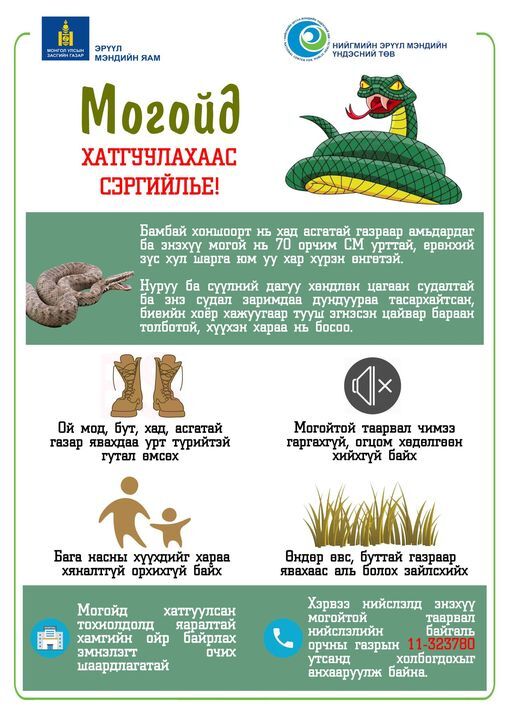 Могойд хатгуулахаас сэргийлье