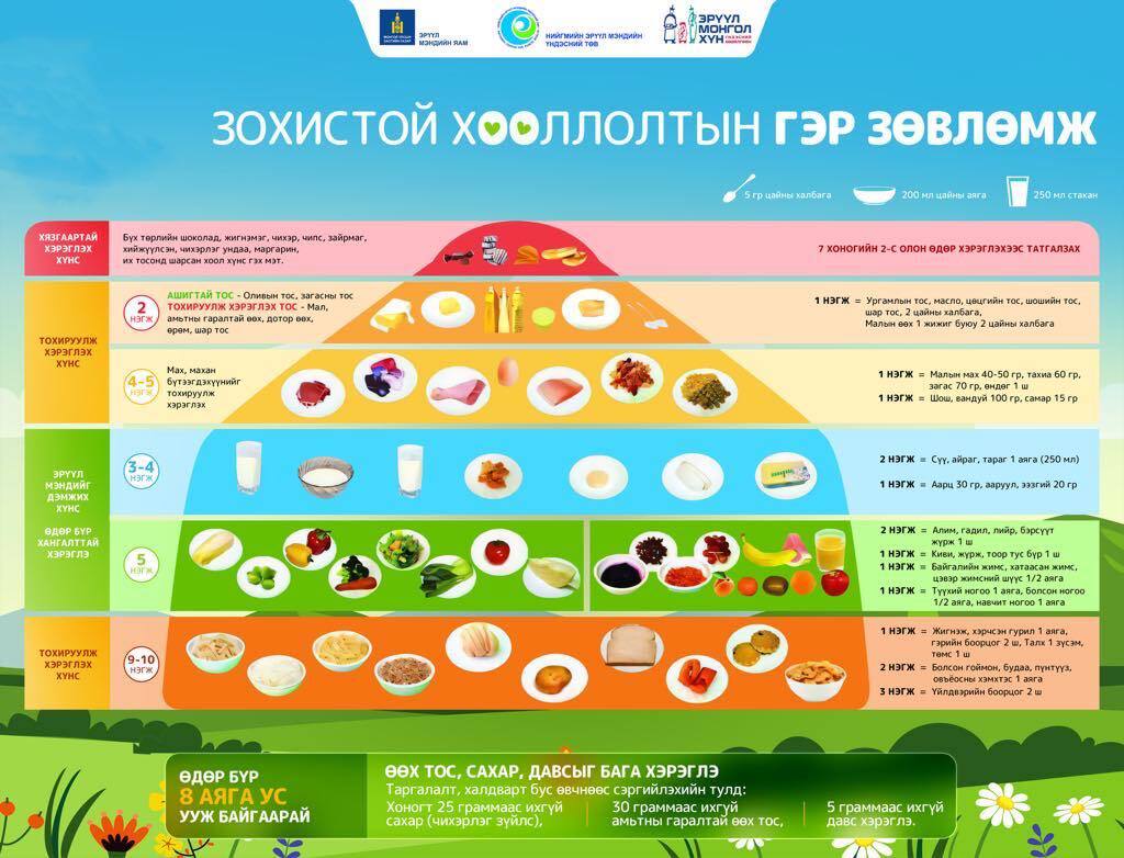Монгол хүний бие организмд нийцүүлж гаргасан гэр зөвлөмж нь хоногт авах шим тэжээлээ ямар төрлийн хоол хүнснээс авах боломжтойг зөвлөсөн байдаг.
