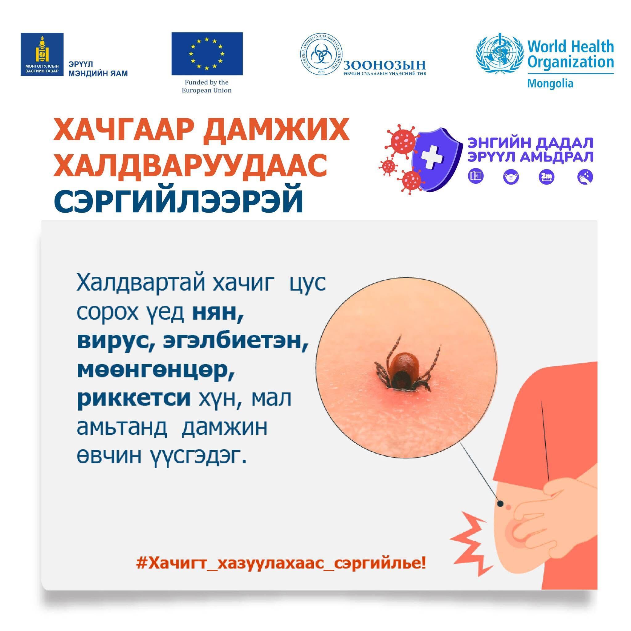 Хачигт халдвараас урьдчилан сэргийлэх эрүүл мэндийн зөвлөмж