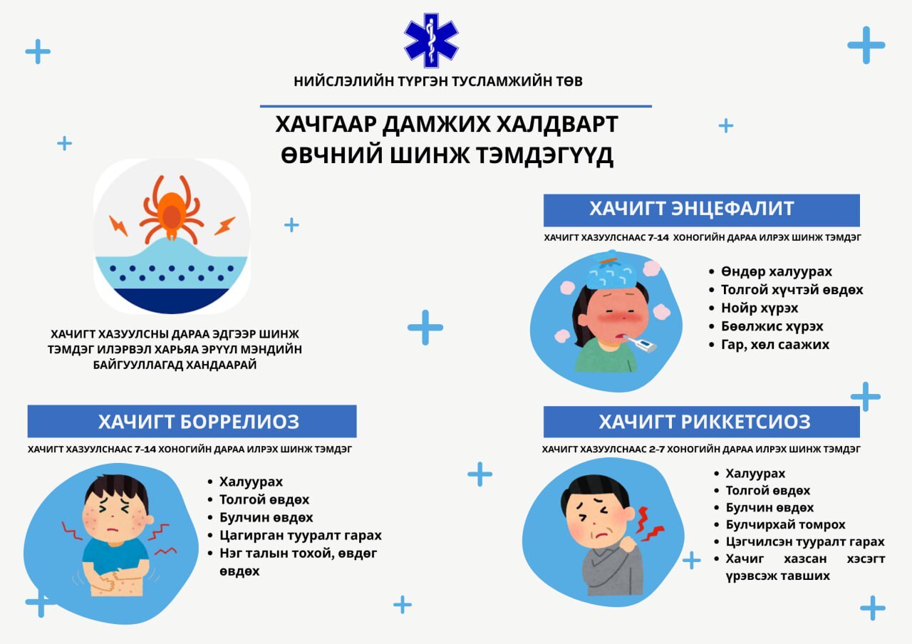 Хачигт халдвараас урьдчилан сэргийлэх эрүүл мэндийн зөвлөмж