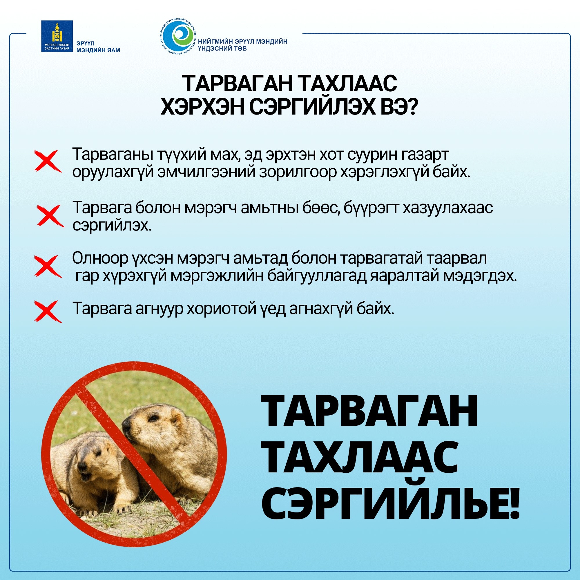 Тарваган тахал өвчнөөс сэргийлье!