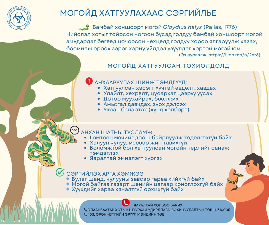 Могойд хатгуулахаас сэргийлье!!!