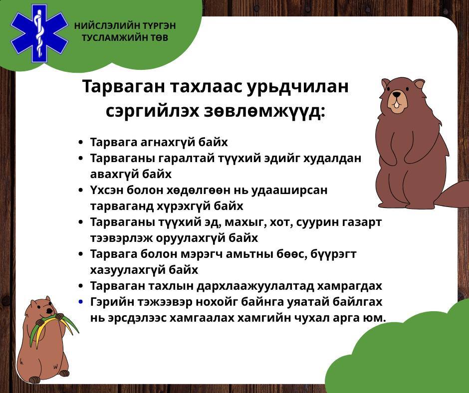Тарваган тахал гэж юу вэ?