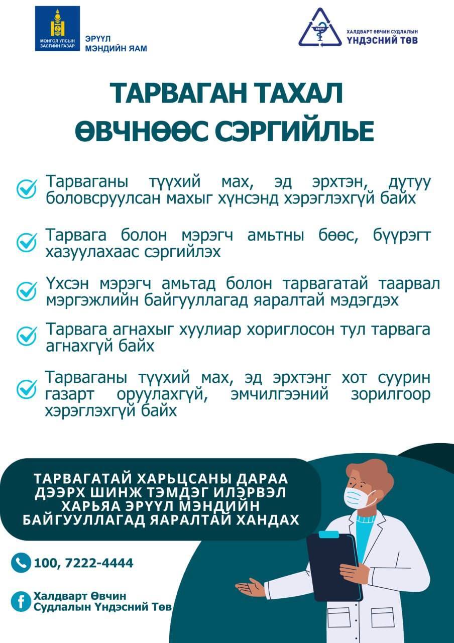 Тарваган тахал өвчнөөс урьдчилан сэргийлье!!!