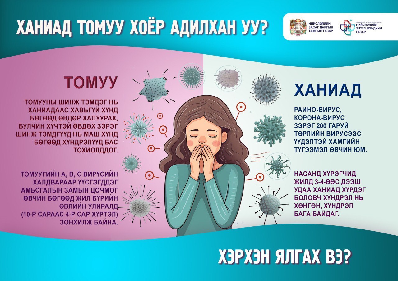 Томуу болон ханиад хоёрыг хэрхэн ялгах вэ?