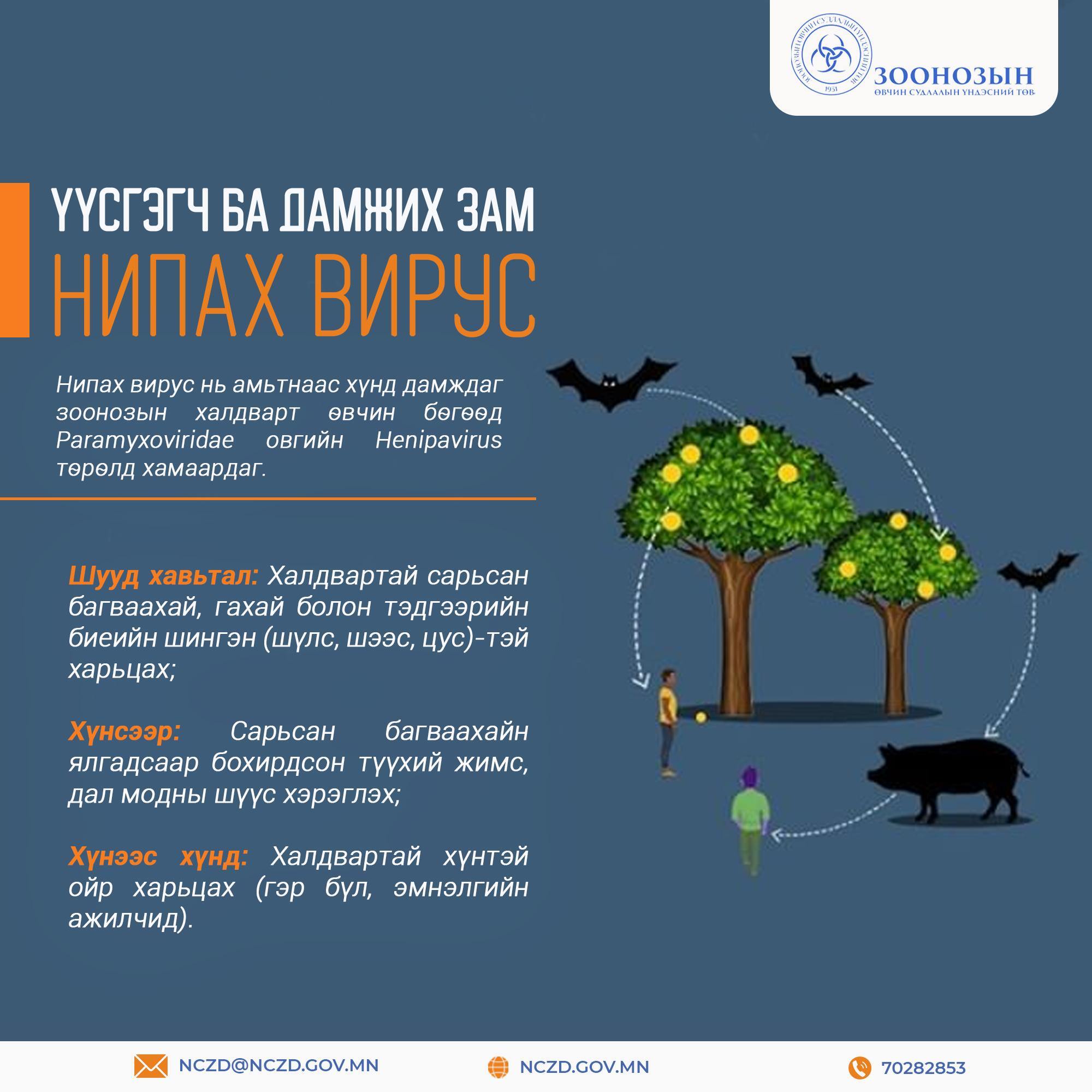 Нипах вирус – үүсгэгч ба дамжих зам