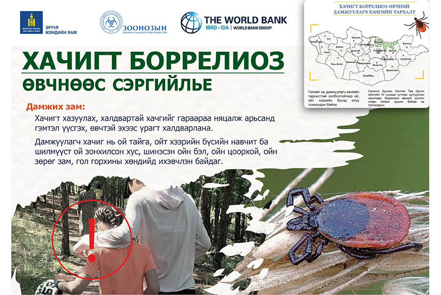 Хачгаар дамжих халдвараас сэргийлцгээе.