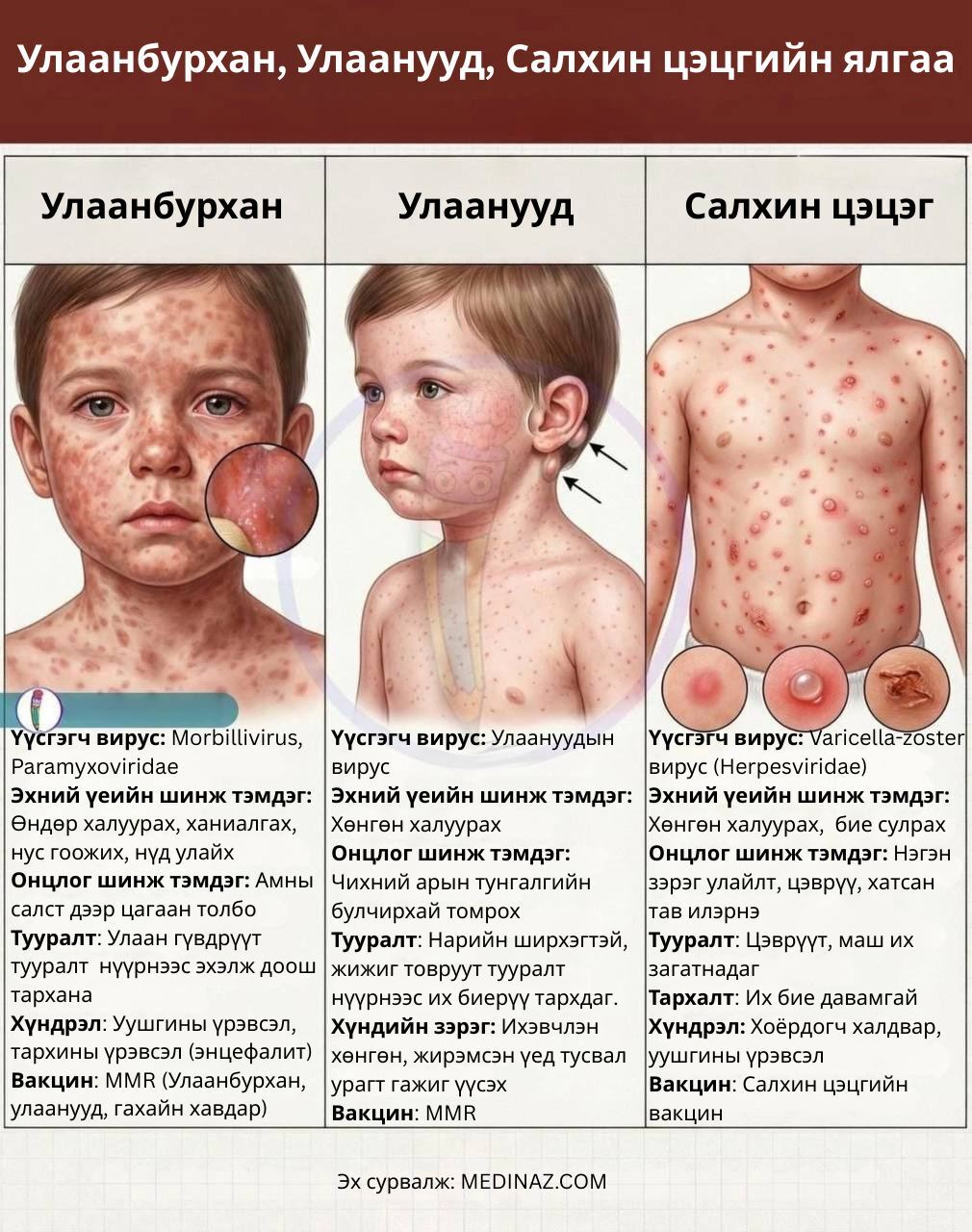 Улаанбурхан, Улаанууд, Салхин цэцгийн ялгааг таниарай!