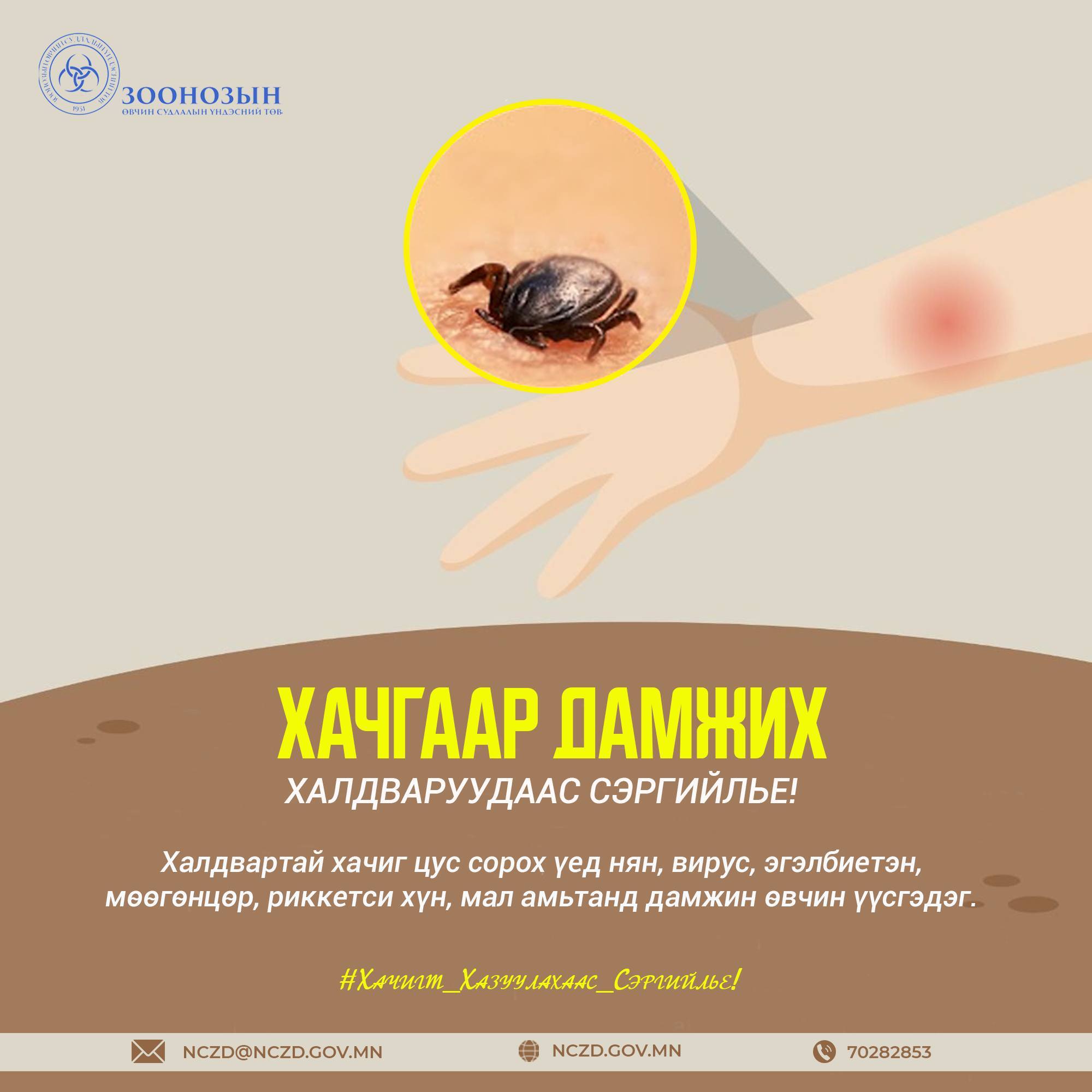 Хачгаар дамжих халдвараас сэргийлье!