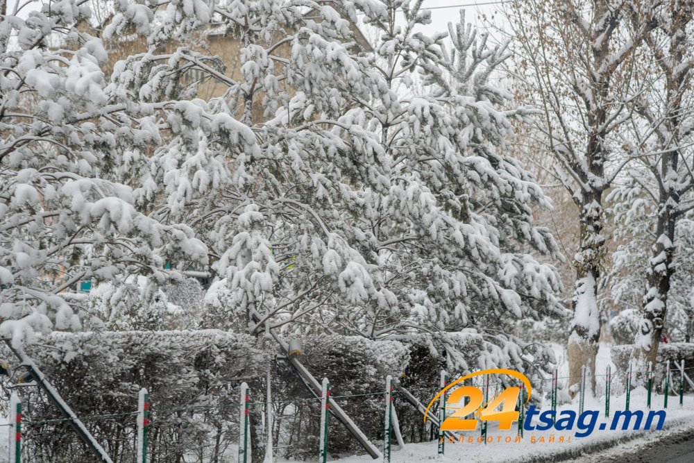Зудын эрсдэлээс урьдчилан сэргийлэх арга хэмжээний төслийн уулзалт ...