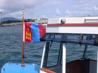 mongolia_flag-middle mongolia_flag-middle