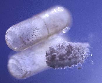 mdma mdma