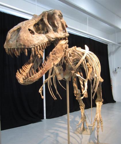 2012-05-18dino_big 2012-05-18dino_big