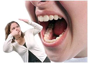 d0705579c499a40doriginal d0705579c499a40doriginal