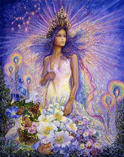 web_virgo web_virgo
