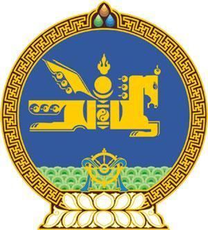 government government