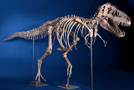 2012-05-18dino_big_1_0 2012-05-18dino_big_1_0