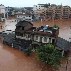 _44749081_zhangztown_afp466 _44749081_zhangztown_afp466