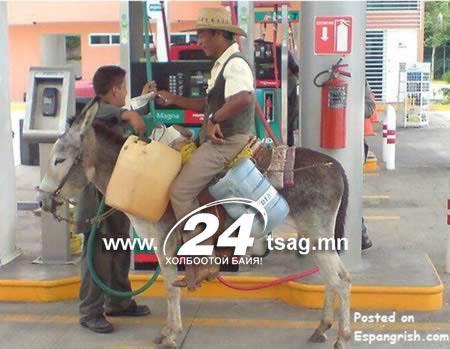 a98259_pack-mule_1-soldier