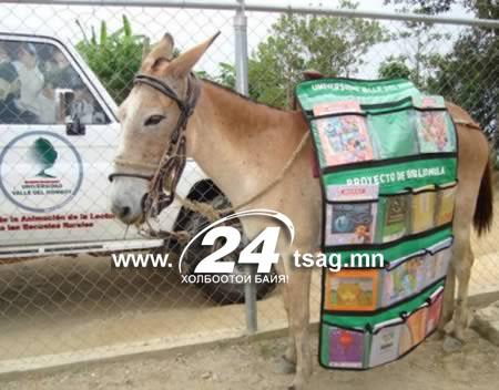 a98259_pack-mule_1-soldier