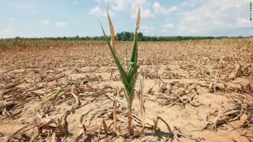 120716044101-midwest-drought-01-horizontal-gallery