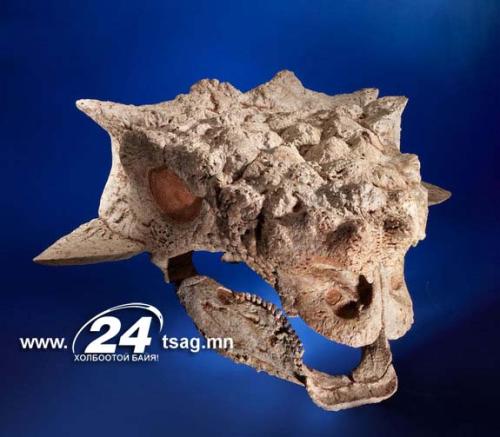 120904-Dinosaur1Photo-hmed-0945a_files