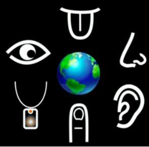 %D1%8D%D0%BA%D1%81%D1%82%D1%80%D0%B0%D1%81%D0%B5%D0%BD%D1%81