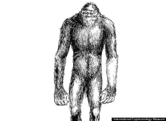 slide_22307_388533_free