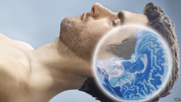 _70542832_c0177393-brain_scan,_conceptual_image-spl _70542832_c0177393-brain_scan,_conceptual_image-spl