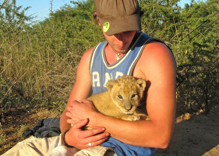 lion-4_2722956k