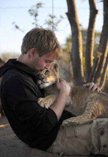 lion-9_2722952k