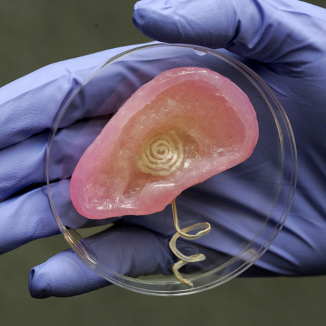 dezeen_3D-printed-bionic-ear_1b