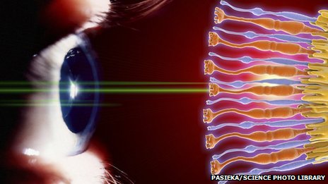 _71794684_eye,_rods_and_cones_of_retina,_artwork-spl-1