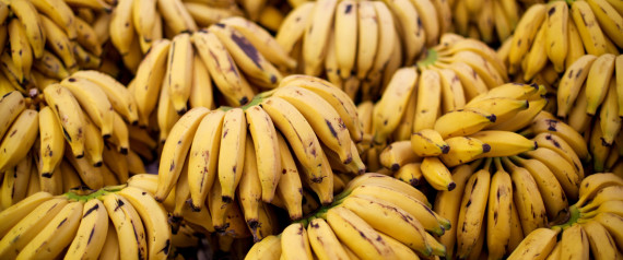 n-BANANAS-large570