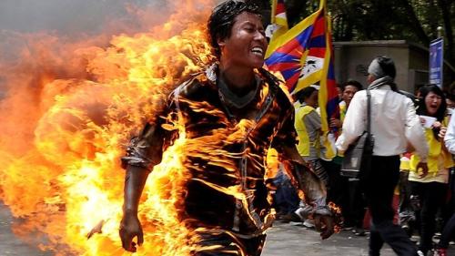 836005-self-immolation