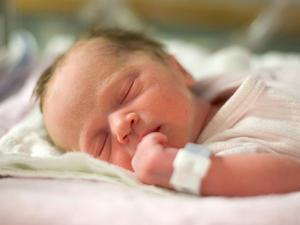 iStock_000001279386Medium_4x3 iStock_000001279386Medium_4x3
