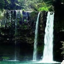 images images