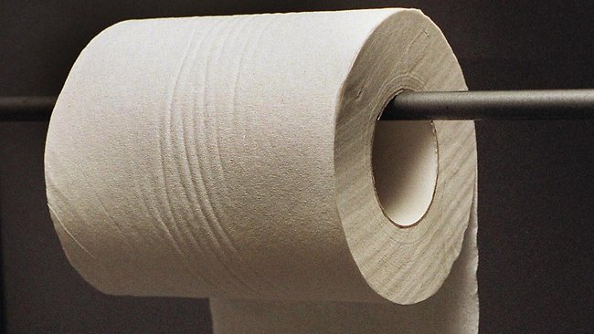 153665-toilet-paper 153665-toilet-paper
