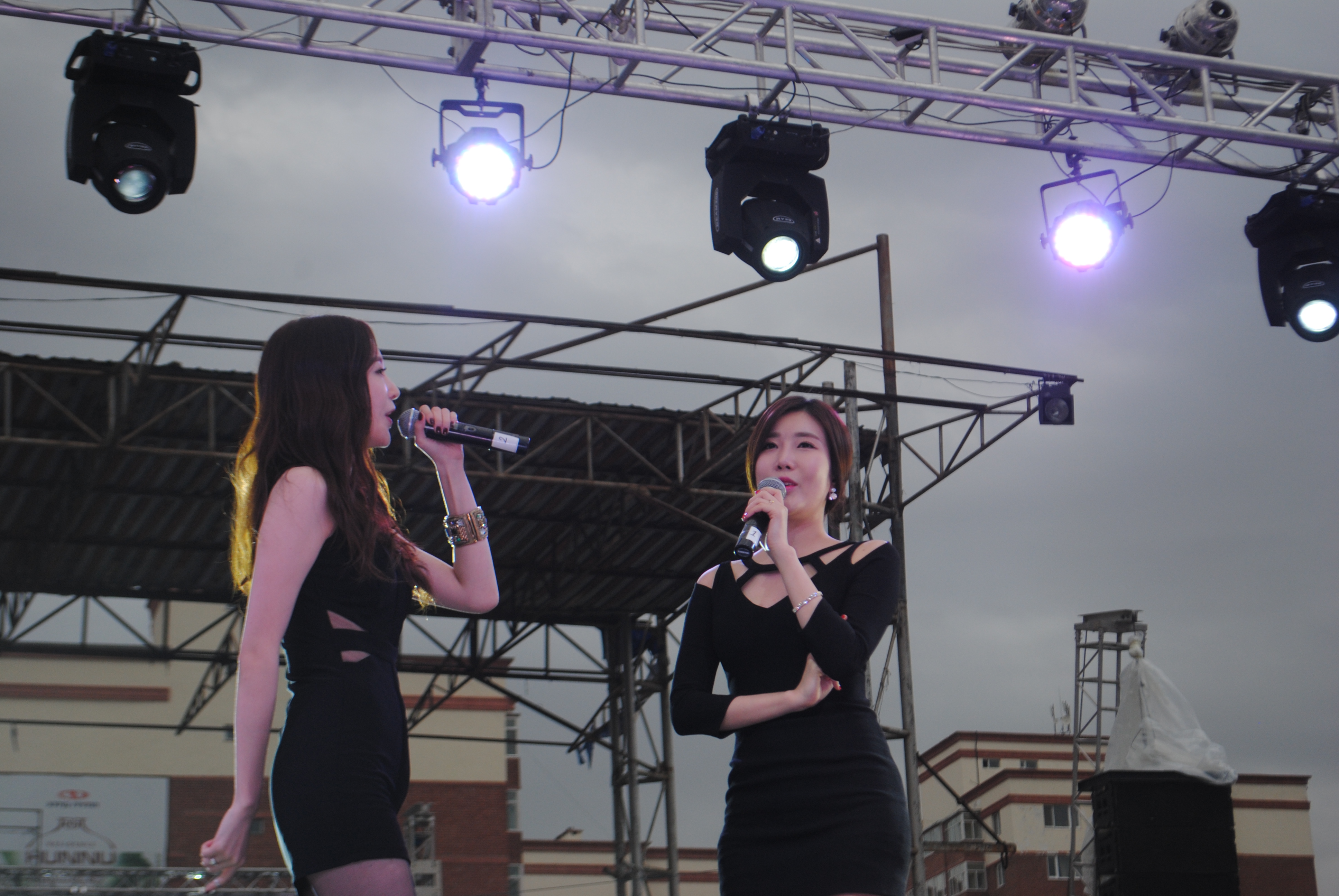 DSC_2341 DSC_2341