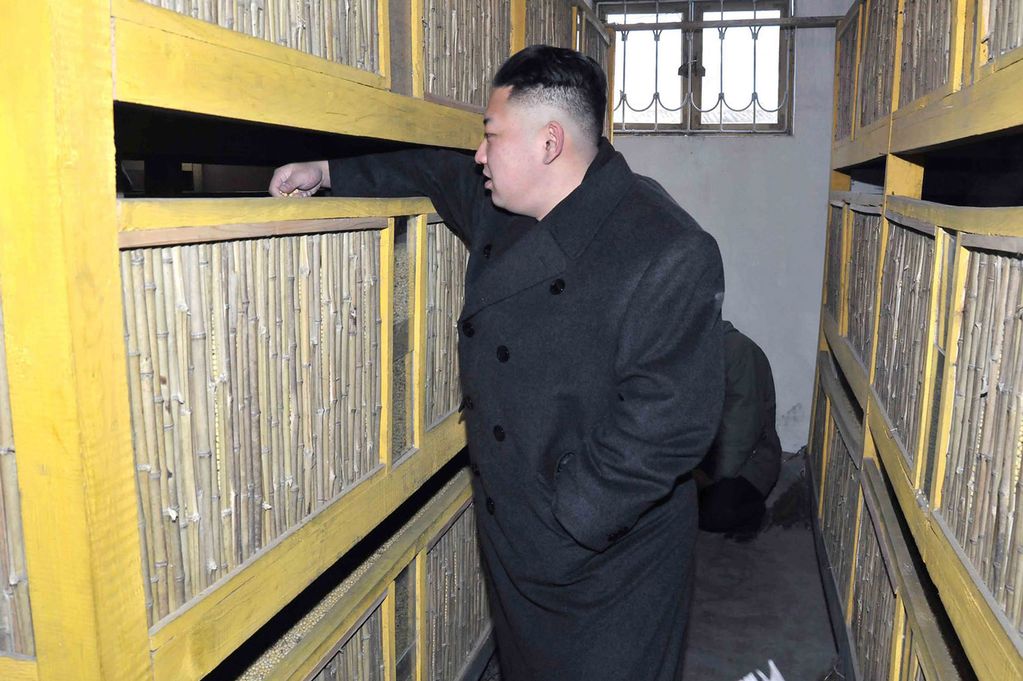 Kim Jong-un-1735853