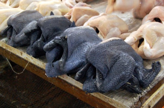 black-chicken-550x362