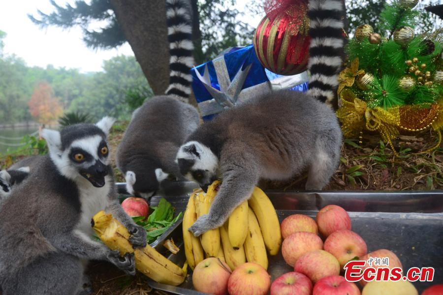 1376066811n 1376066811n